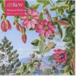 Flame Tree Publishing Puzzle 500 View in the Brisbane Kew Marianne Garden