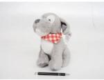 Tulilo Dog azoride gray