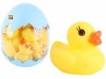 Pro Kids Duck for bath 38pcs in egg