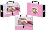 Beniamin Cardboard briefcase for clip The Sweet Pets dog A4+ mix Beniamin (5986)