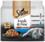 Sheba Adult Alutasakos - Halas válogatás - szószban (15x50g)