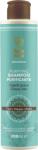 Rasayana Purifying sampon - 200 ml