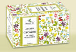 Mecsek Tea Gyomor Tea Filteres 20x 1gr - plazapatika