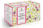 Mecsek Tea Tisztító Teakeverék 20x 1g Filt - plazapatika