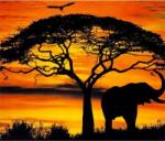 NORIMPEX - Puzzle Tablou Diamant: Elefant la apus de soare 30x40cm - 1 - 39 piese