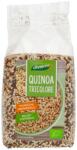 dennree Quinoa colorata bio 250g