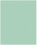 Bringmann Folia Paper Dekorkarton 2 oldalas 50x70cm 220g 10 lap menta FL61221025 (FL61221025)