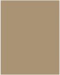 Bringmann Folia Paper Dekorkarton 2 oldalas 50x70cm 220g 10 lap őzbarna FL61221075 (FL61221075)