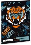 Ars Una Roar of the Tiger A5 16-32 2. osztályos füzet (53590053) - ipon
