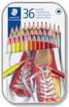 STAEDTLER Színes ceruza készlet hatszögletű 36 különböző szín