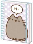 Pyramid International PUSHEEN (PUSHEEN SAYS HI) A5 spirálfüzet