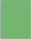Bringmann Folia Paper Dekorkarton 2 oldalas 50x70cm 220g smaragdzöld (10 lap) FL61221054 (FL61221054)