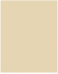 Bringmann Folia Paper Dekorkarton 2 oldalas 50x70cm 220g 10 lap bézs FL61221010 (FL61221010)