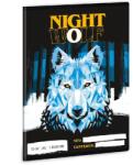 Ars Una Nightwolf 23 A5 12-32 3. osztályos vonalas füzet 5257 53602572 (53602572)