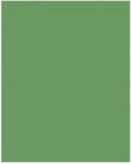 Bringmann Folia Paper Dekorkarton 2 oldalas 50x70cm 220g mohazöld (10 lap) FL61221053 (FL61221053)