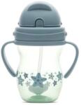 Lorelli Szívószálas itató fogantyúval 275ml - Blue/Green (3800166106069)