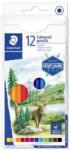 STAEDTLER Design Journey színes ceruza készlet hatszögletű 12 különböző szín