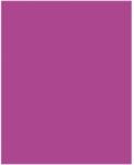 Bringmann Folia Paper Dekorkarton 2 oldalas 50x70cm 220g 10 lap sötét rózsaszín FL61221021 (FL61221021)