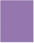 Bringmann Folia Paper Dekorkarton 2 oldalas 50x70cm 220g 10 lap sötét orgonalila FL61221028 (FL61221028)