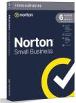 Symantec Small Business 2.0 250GB Magyar 1 felhasználó 6 eszköz Elektronikus licenc 21486336 (21486336)
