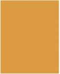 Bringmann Folia Paper Dekorkarton 2 oldalas 50x70cm 220g 10 lap okkersárga FL61221017 (FL61221017)