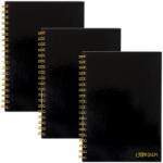 Pukka Pad Carpe Diem Spirálfüzet B5 vonalas 80 lap FSC fekete (9375-CD)