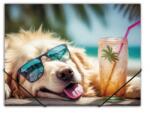 Panta Plast Chillout dog gumis mappa 15 mm PP A4 (0410-0064-53)