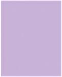 Bringmann Folia Paper Dekorkarton 2 oldalas 50x70cm 220g 10 lap orgonalila FL61221031 (FL61221031)