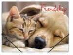 Panta Plast Friendship gumis mappa 15 mm PP A4 (0410-0064-55)
