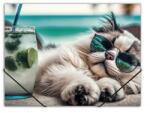 Panta Plast Chillout cat gumis mappa 15 mm PP A4