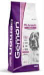 Gemon Adult pork & rice 20 kg