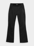 4F PANTALONI DE SCHI 4FPRO MEMBRANA DERMIZAXÂ® 20 000 PENTRU FEMEI - Negru, S (H4Z22-SPDN006-20S-s)