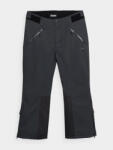 4F PANTALONI DE SCHI 4FPRO MEMBRANA DERMIZAXÂ® 20 000 PENTRU BARBATI - Negru, 3XL (H4Z22-SPMN006S-20S-3xl)