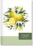 PATRIA Design Tanári zsebkönyv 2025-2026 Lemon (P4114-3066)