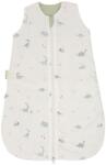 Bimbidreams Sac de dormit pentru bebeluși Bimbidreams - Trex, 60 cm, 0-4 luni, Tog 2.5 (8435629201217)