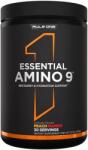 Rule 1 Essential Amino 9, piersică și mango, 345 g, Rule1