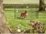 Savic Dog Park play pen - kutyaovi (fekete) kistestű kedvencek részére (8 elem) 65x8x94cm (A3287-0011)