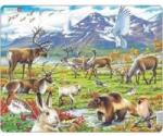 Morten larsen The Arctic in the soil of the Maxi ladu