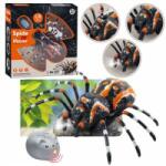 LEAN Toys Remote Controlled Spider Tarantula Infrared Black R/C ST