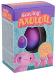  Ouă de axolotl în creștere, 4 tipuri în cutie (24580) Figurina