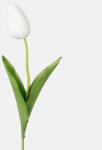 MOS Tulipán dekorációs művirág szál 50cm, krém színű