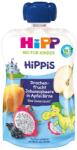 HIPP *hipp Fructul Dragonului Coacaze Negre Si Mar (hpisfdragcn1008) (4062300342842)