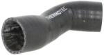 THERMOTEC Palnie, filtru de aer THERMOTEC DCG133TT (DCG133TT)