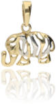 Gold pendants 14 karátos arany Medál - AU53156 (AU53156)