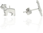 Fine Silver AG123539 - Ezüst beszúrós fülbevaló (AG123539)