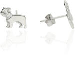 Fine Silver AG123104 - Ezüst beszúrós fülbevaló (AG123104)