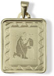 Gold horoscope pendants 14 karátos arany vízöntő horoszkóp medál - AU1-1-5-11-90 (AU1-1-5-11-90)
