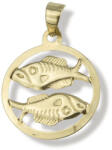 Gold horoscope pendants 14 karátos arany halak horoszkóp medál - AU1-1-2-12-60 (AU1-1-2-12-60)