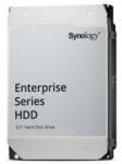 Synology 12TB HAS5310-12T