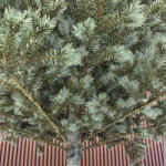  Műfenyő Christmas Deluxe by Sersimo, Alaska Select ezüstzöld, teljesen 3D, 180 cm
